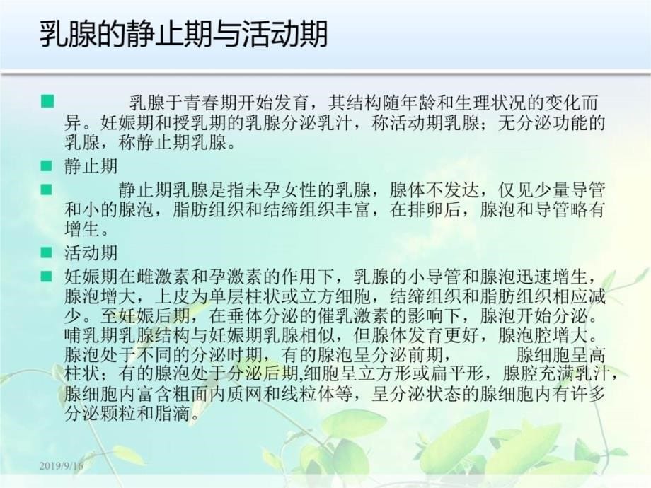 培训师薛老师研究报告_第5页