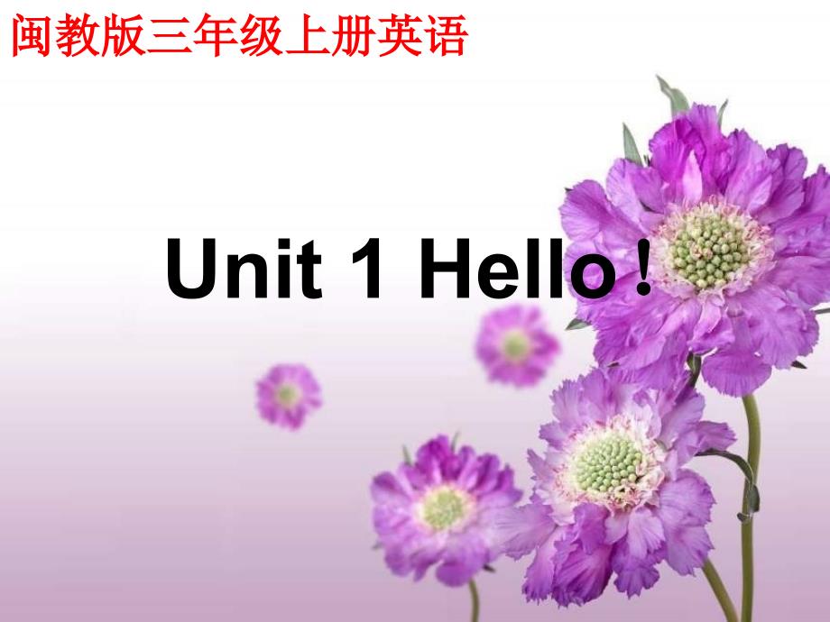 闽教版英语三上Unit1Hello课件培训课件_第1页