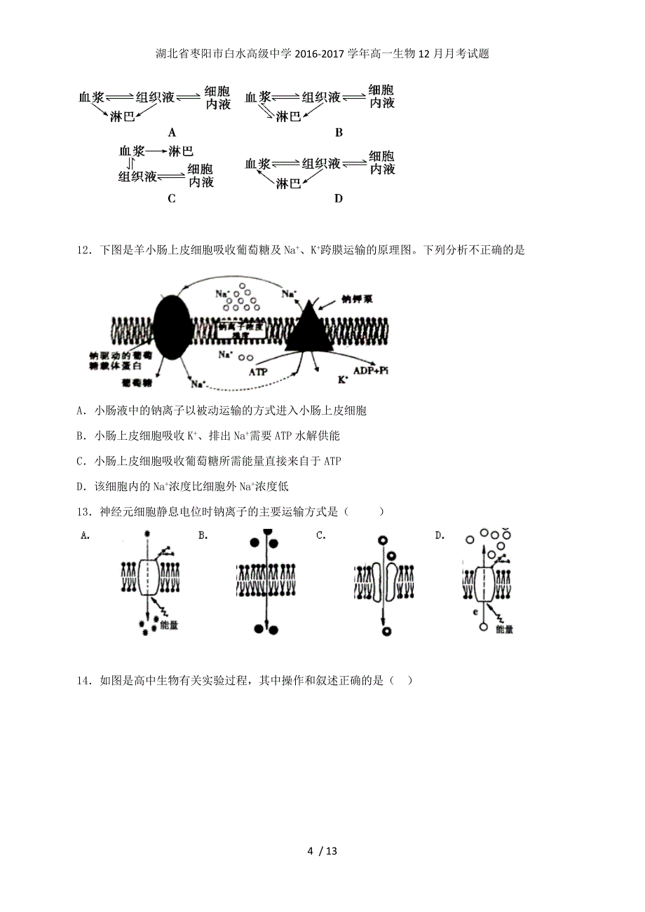 湖北省枣阳市白水高级中学高一生物12月月考试题_第4页