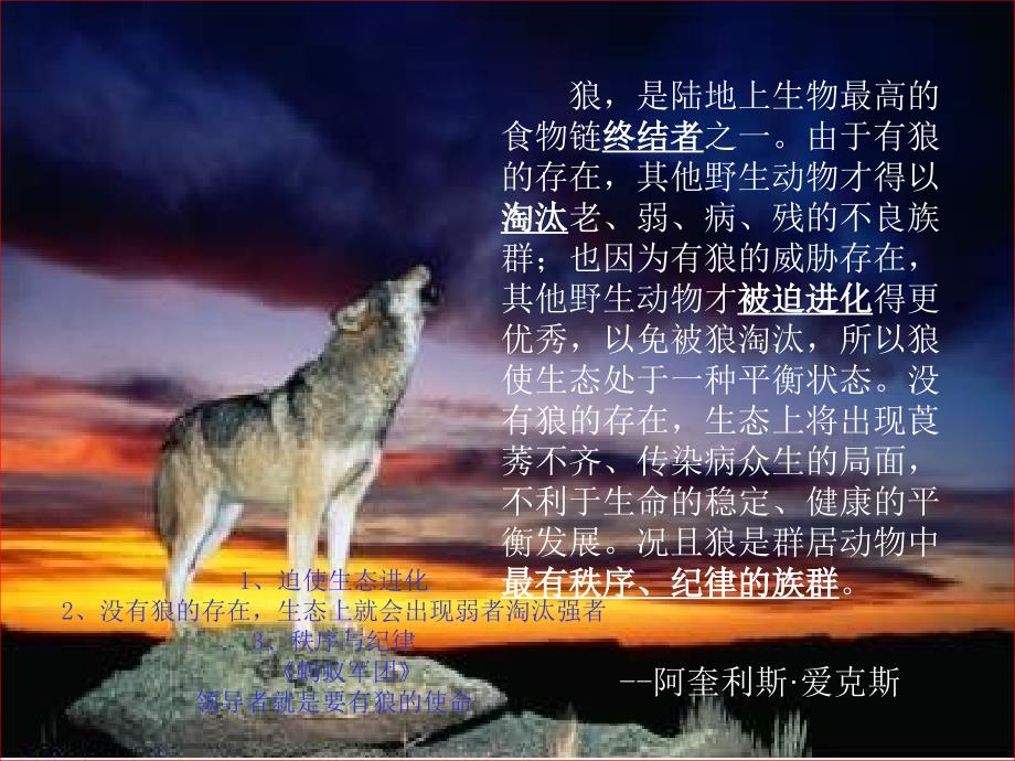 狼性文化狼的智慧与文化提纲知识课件_第3页