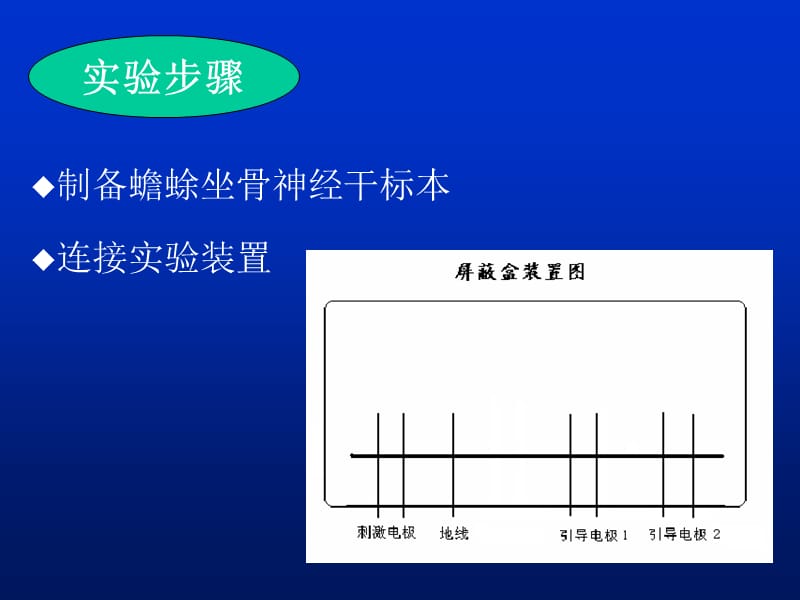 神经干动作电位AP的引导传导速度测定和不应期的观察教学提纲_第4页