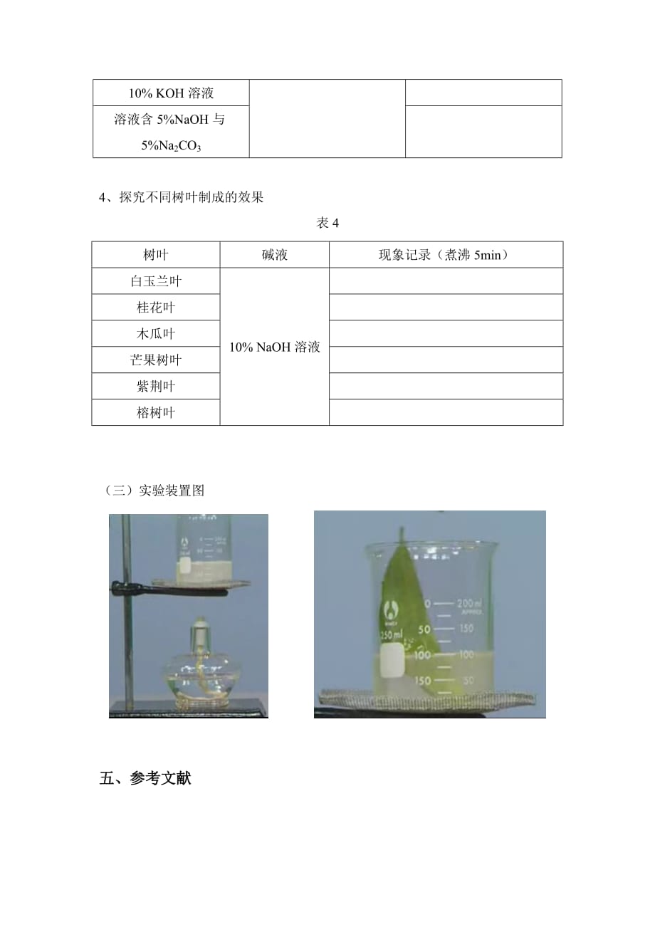 叶脉书签方案实验报告.doc_第4页