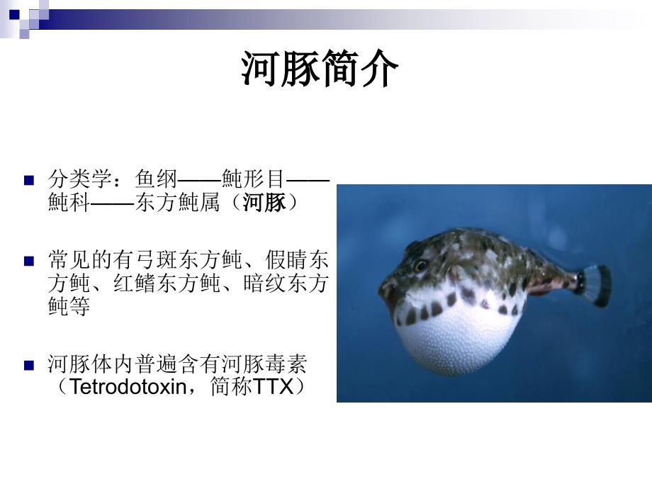 《污染生态学与水环境监测黄陈玲》-精选课件（公开PPT）_第2页