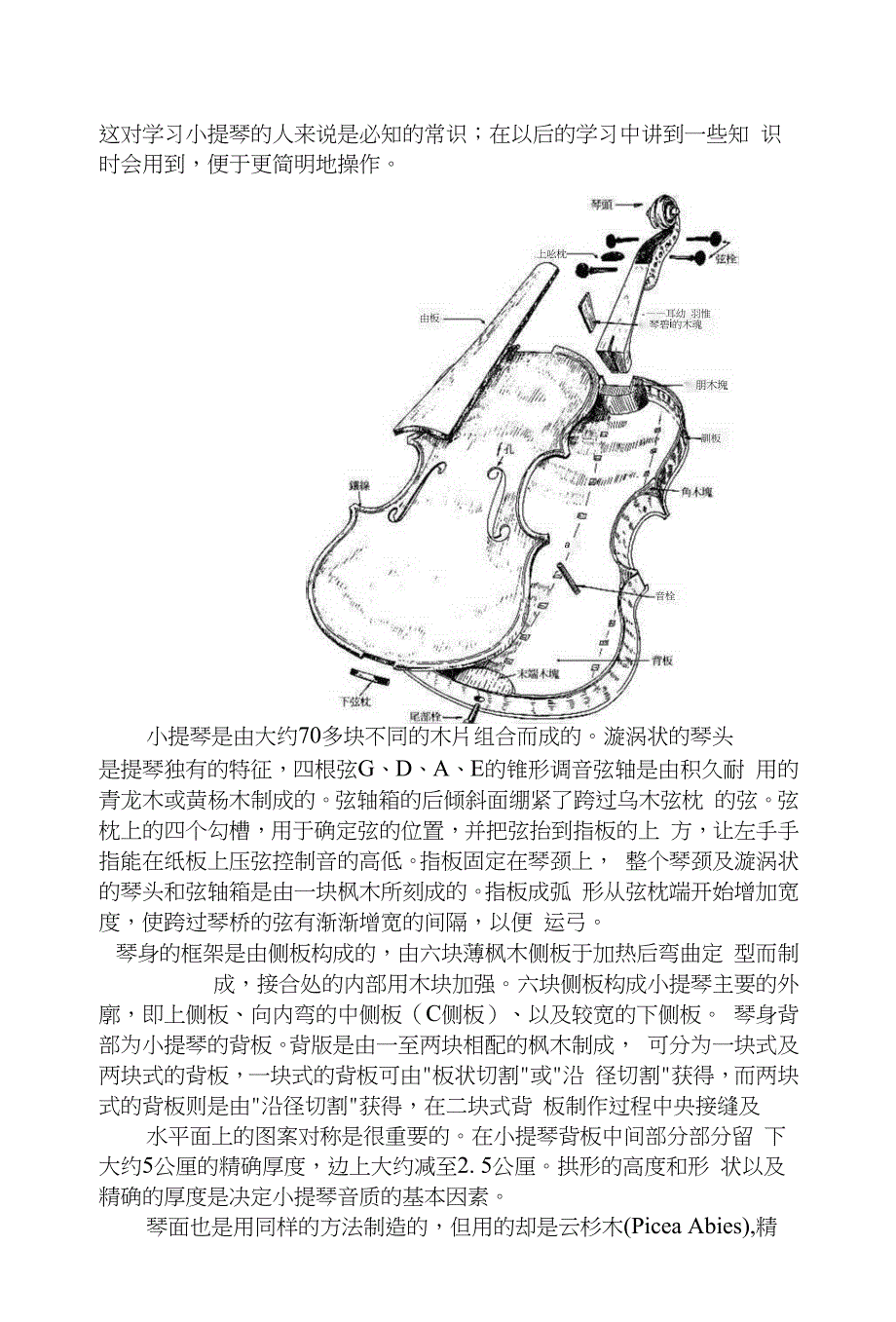 小学音乐校本教材《小提琴》[34页]_第3页