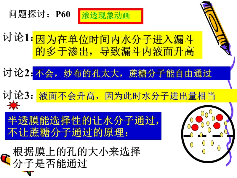 《物质运输的实例》-精选课件（公开PPT）_第2页