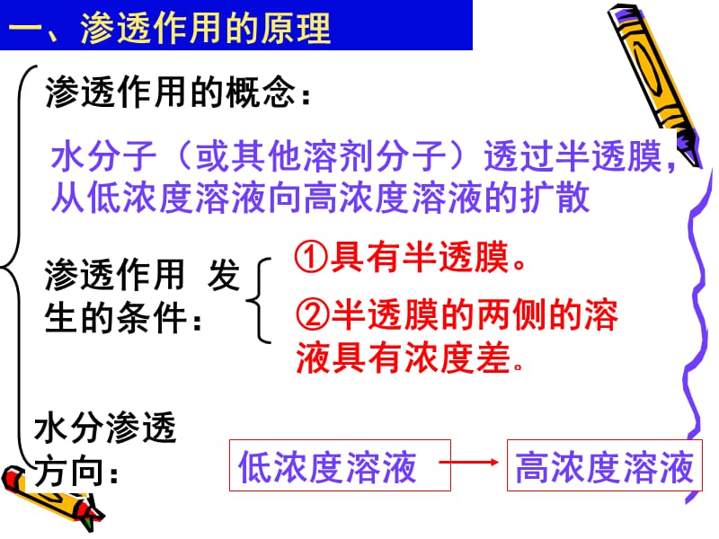 《物质运输的实例》-精选课件（公开PPT）_第3页