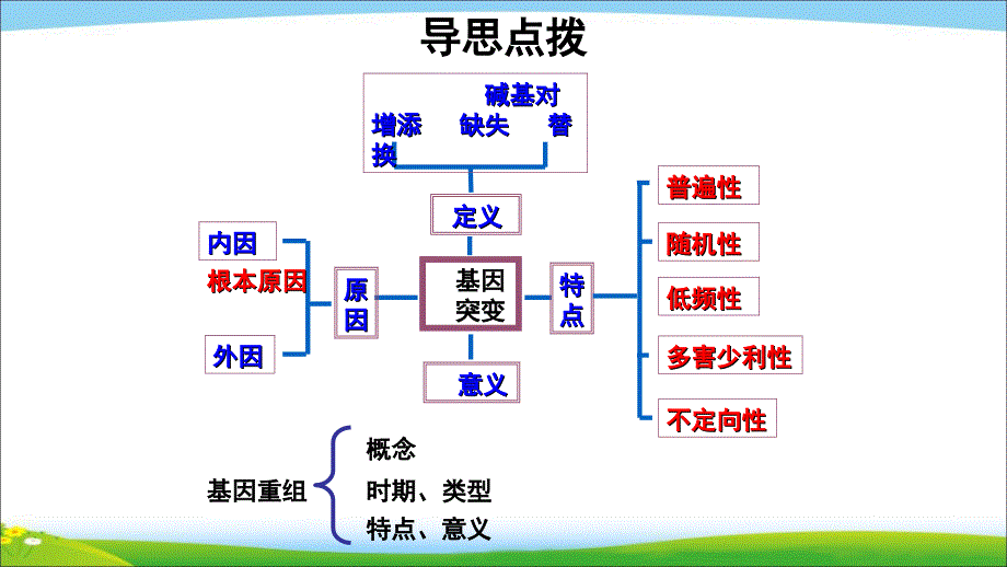 《基因突变和基因重组》 教学PPT课件【人教版高中生物必修2】_第4页