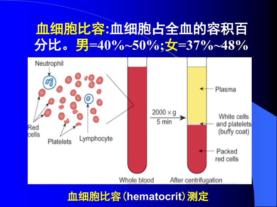 三章血液blood学习资料_第2页