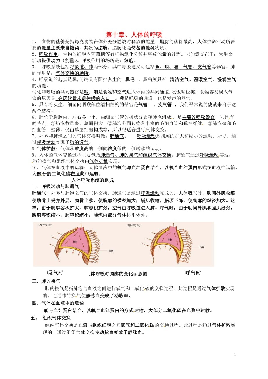 河南省虞城县第一初级中学七年级生物下册第10章人体的呼吸提纲北师大版_第1页