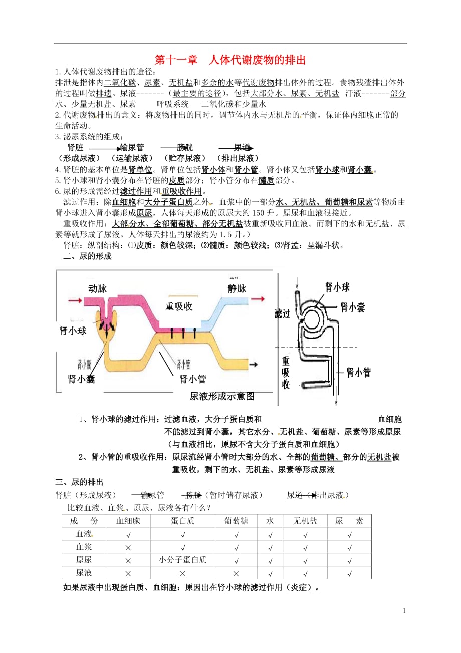 河南省虞城县第一初级中学七年级生物下册第11章人体代谢废物的排出提纲北师大版_第1页