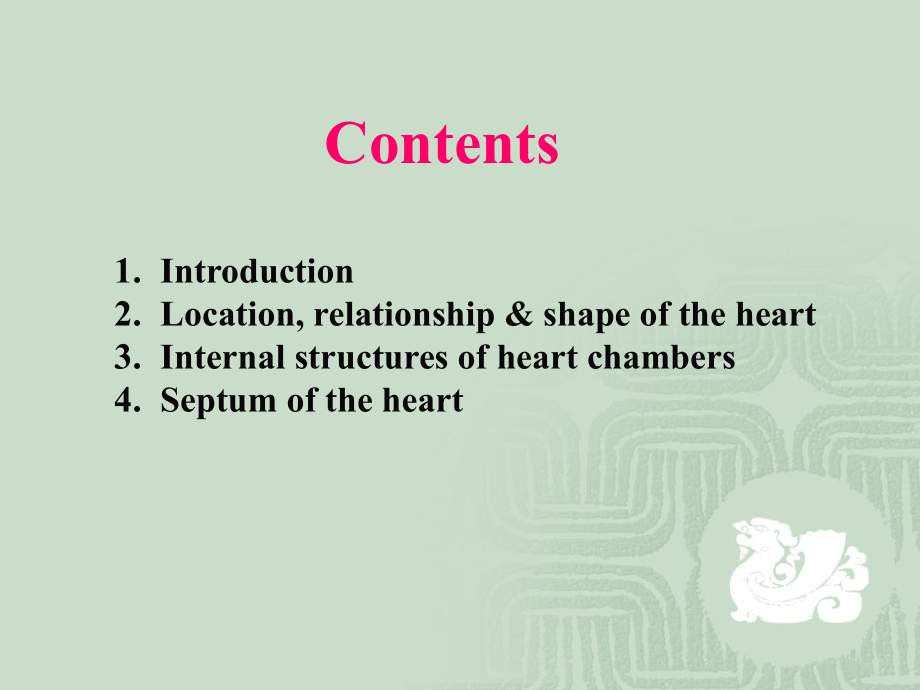 心的外形和腔内结构教案资料_第1页