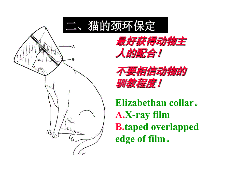 五节犬猫保定知识分享_第4页