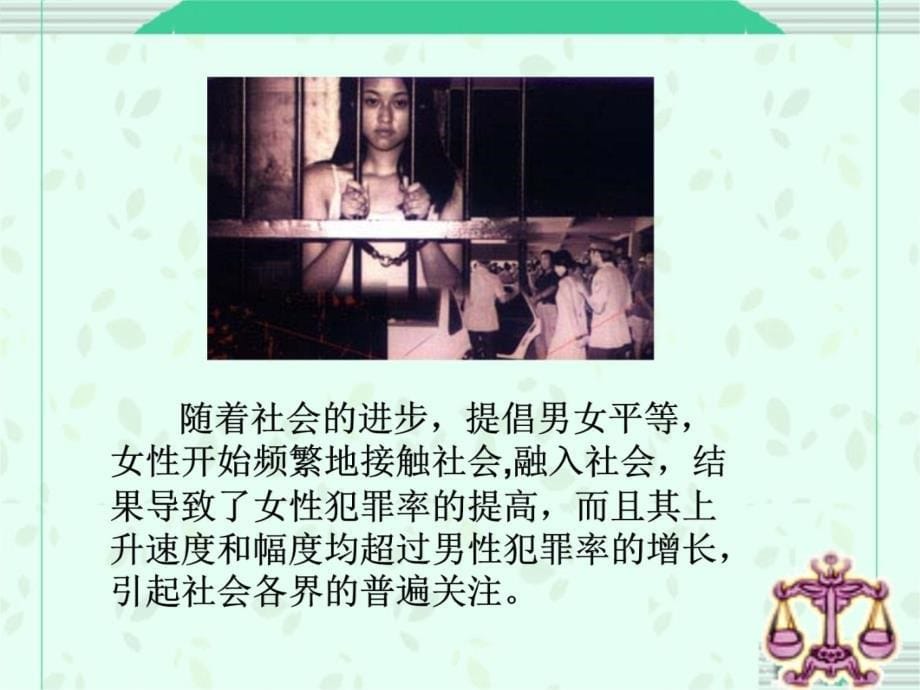 文法系王晓萍电子教案_第5页