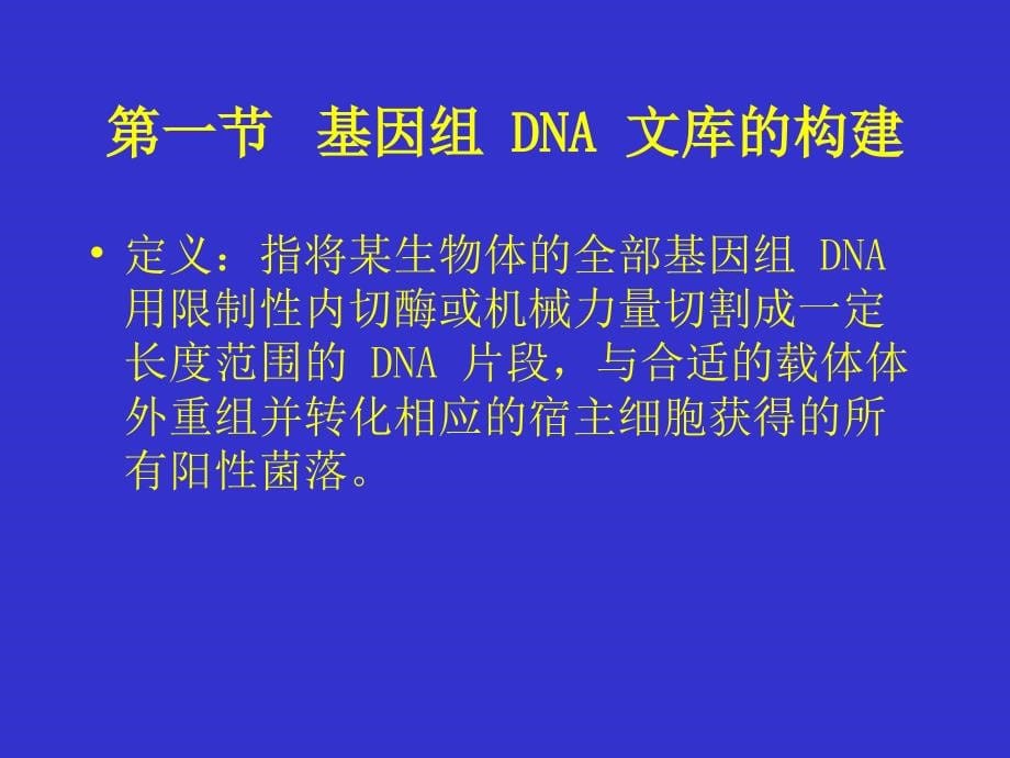 (正版)7DNA文库的构建和目的基因的筛选[98页]_第5页