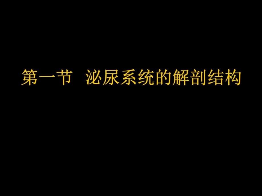 现代基础医学概论第八章演示教学_第5页