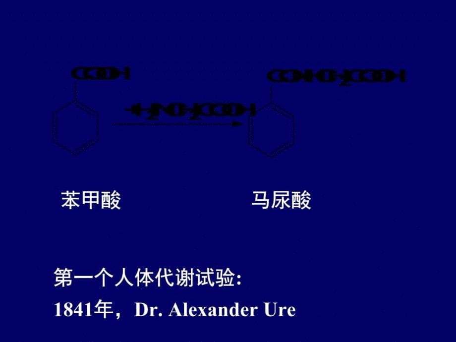 五章药物代谢讲解学习_第5页