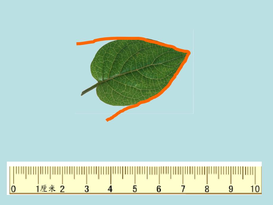 小学三年级上册周长的认识_第4页