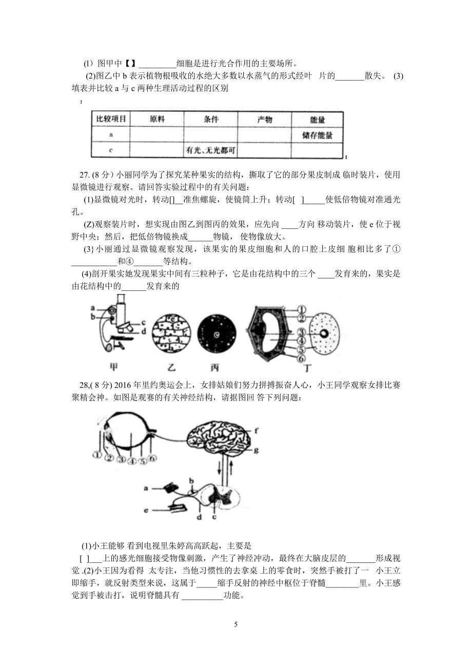 （2020年整理）山东济南初中学业水平考试生物试题.doc_第5页