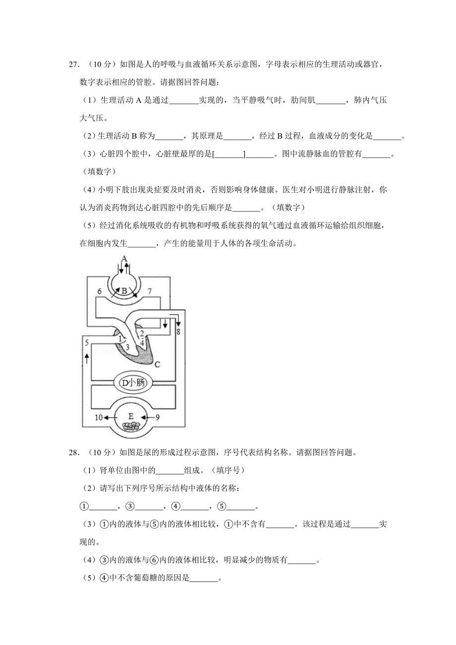 河北省期中复习题七年级下册生物复习试卷.doc_第5页