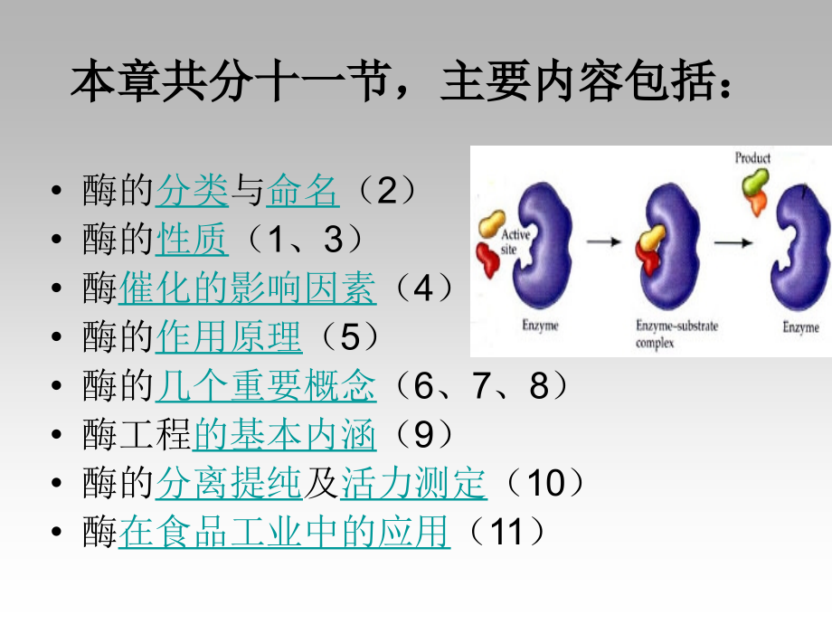 五章节酶主章节人曹劲松讲解学习_第2页