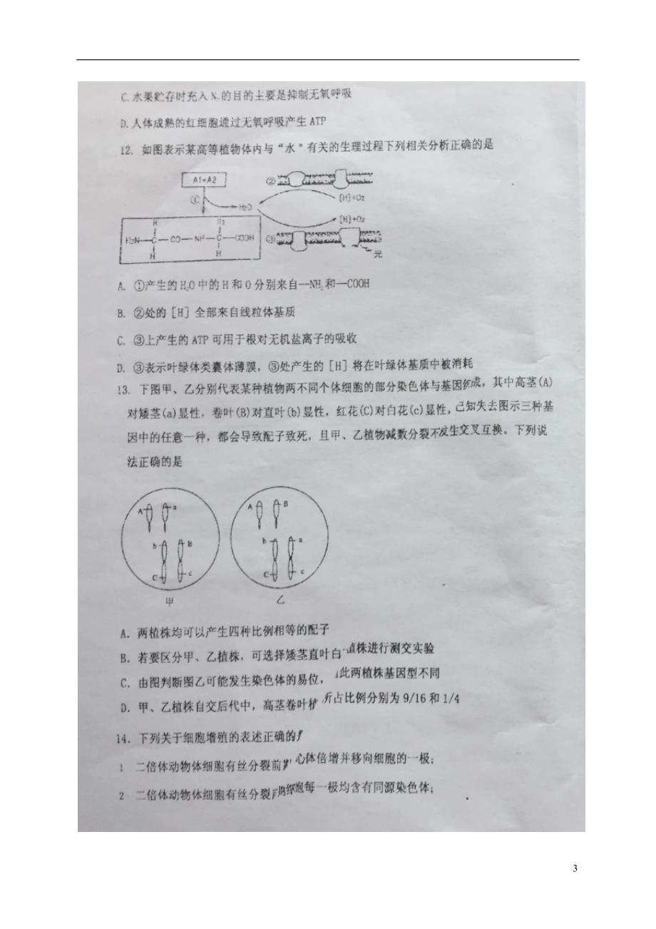 黑龙江省高二生物上学期期末考试试题（扫描版）_第3页