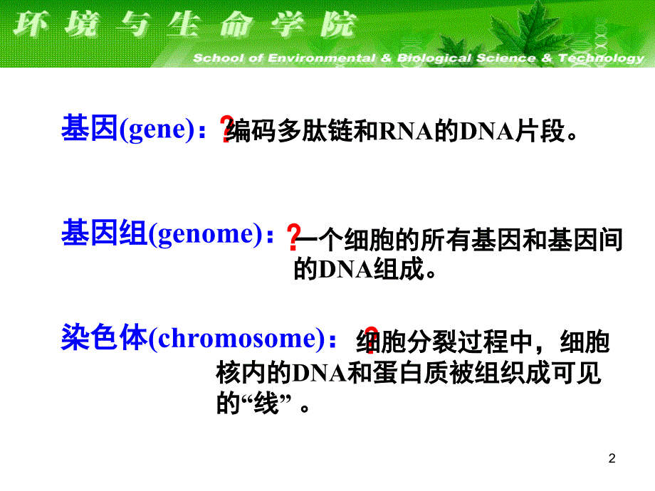 大连理工大学生物化学课件--基因与染色体7.ppt_第2页