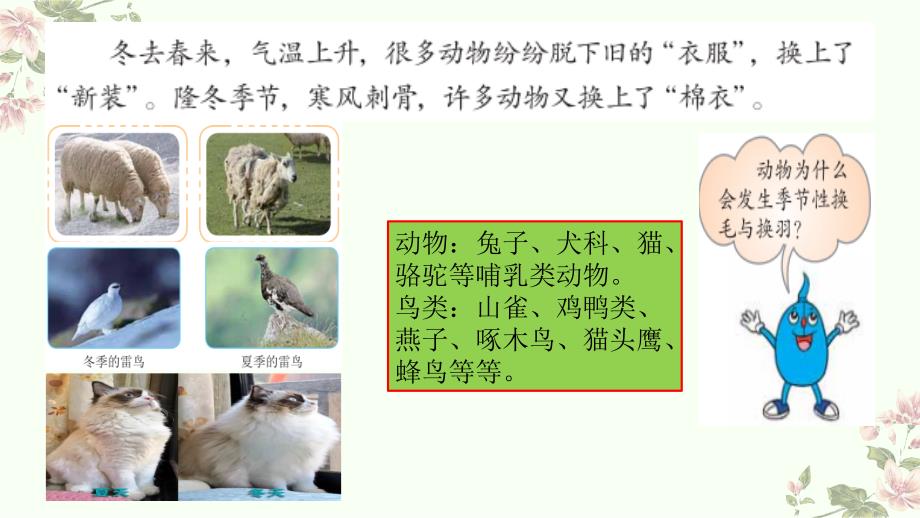 第八课-动物的换毛与换羽-课件_第4页