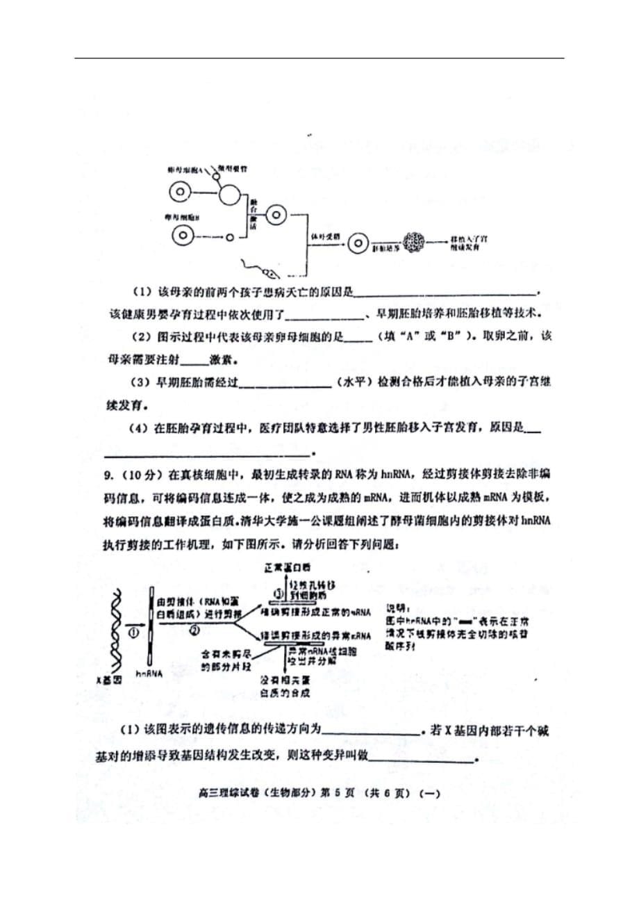 河西区2017届高三一模生物试题及答案_第5页