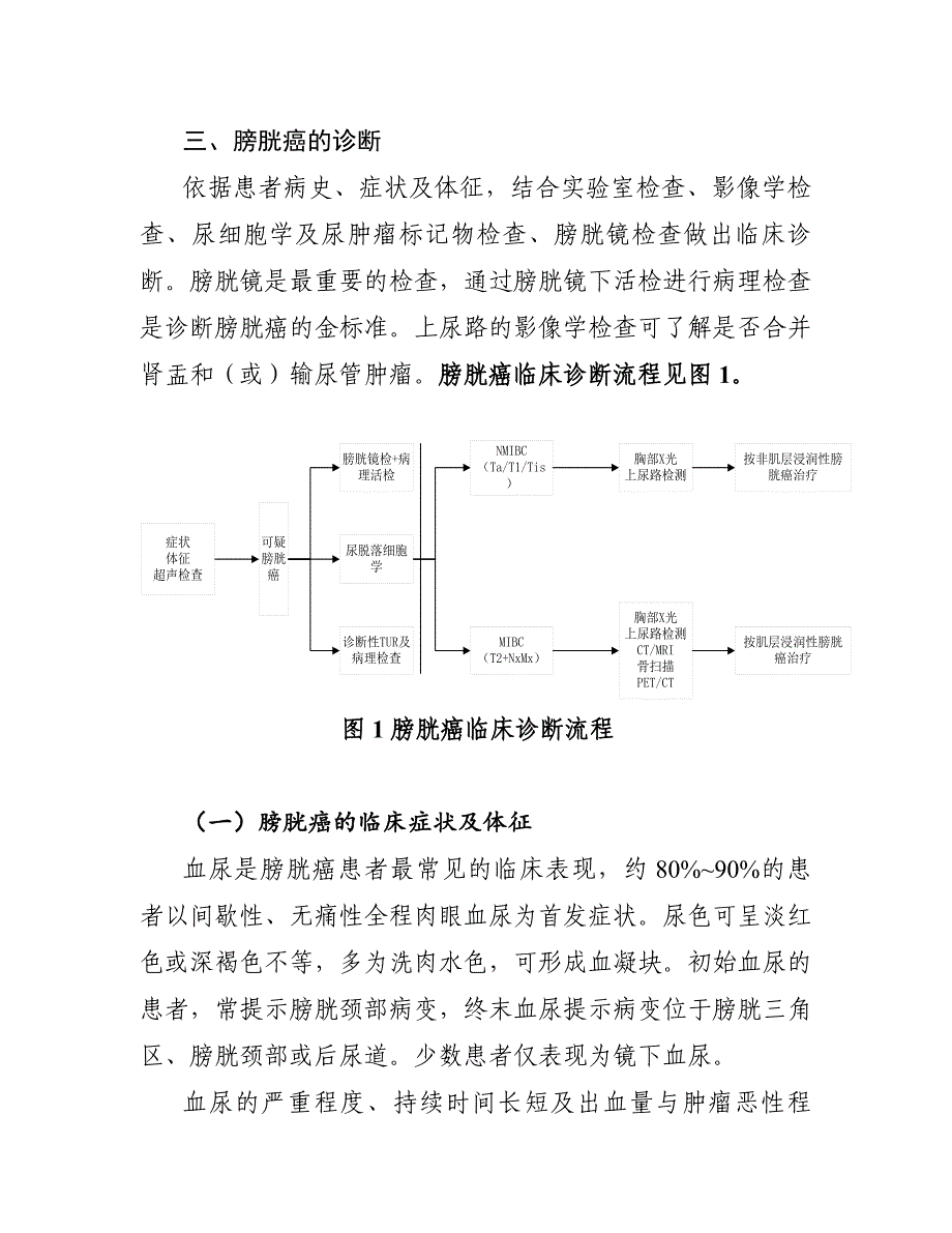 12.膀胱癌诊疗规范(2018年版).doc_第3页