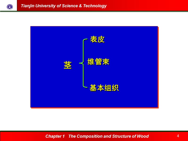 四节非木材纤维原料的生物结构及细胞形态课件电子教案_第4页
