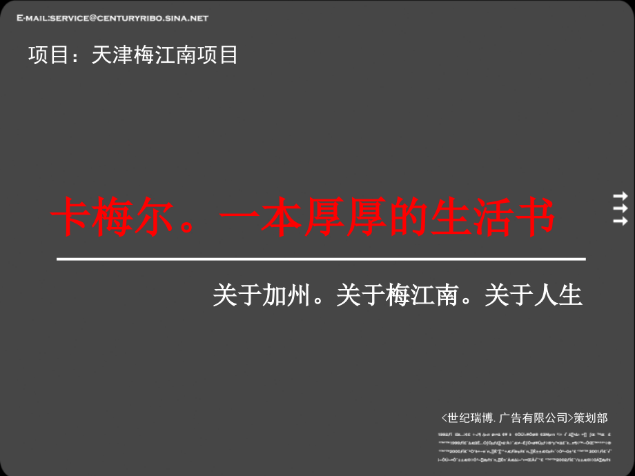 世纪瑞博天津卡梅尔项目全程推广方案2008年培训课件_第3页