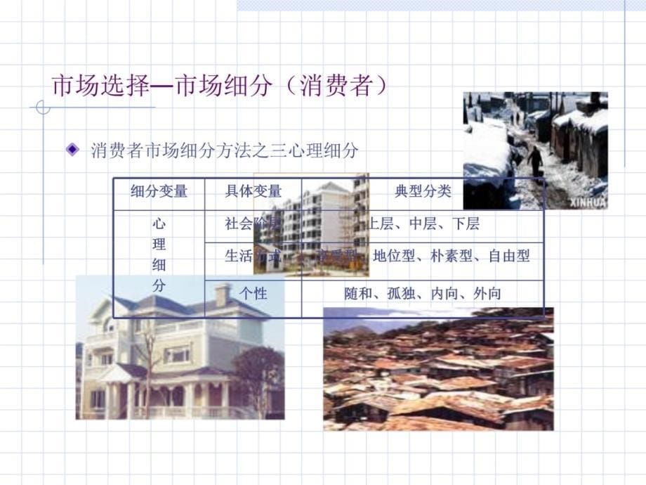 市场选择教学讲义_第5页