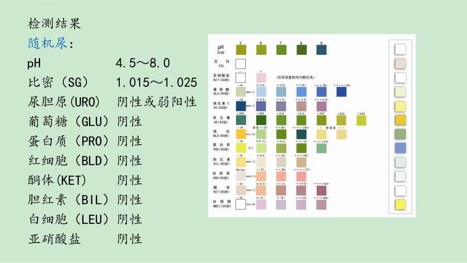 尿常规 修改版_第4页