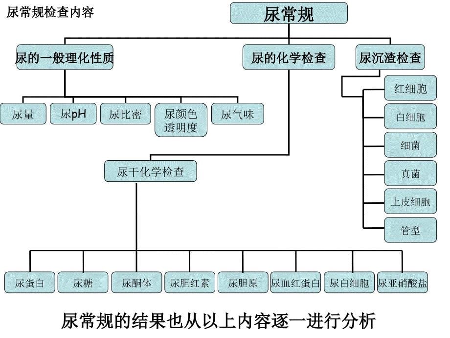 尿常规―浓缩_第5页