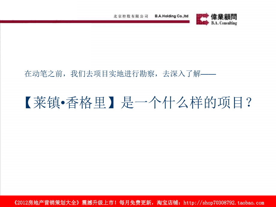 伟业顾问2010年4月北京莱镇&amp#183;香格里项目投标报告教案资料_第4页