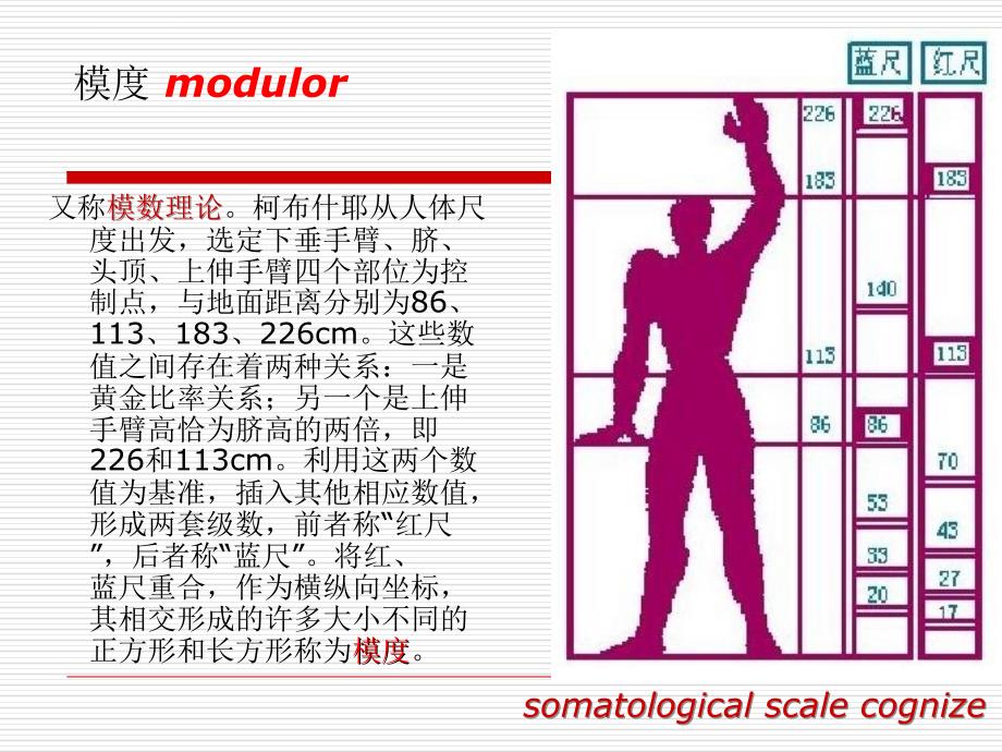 建筑初步――人体尺度_第3页