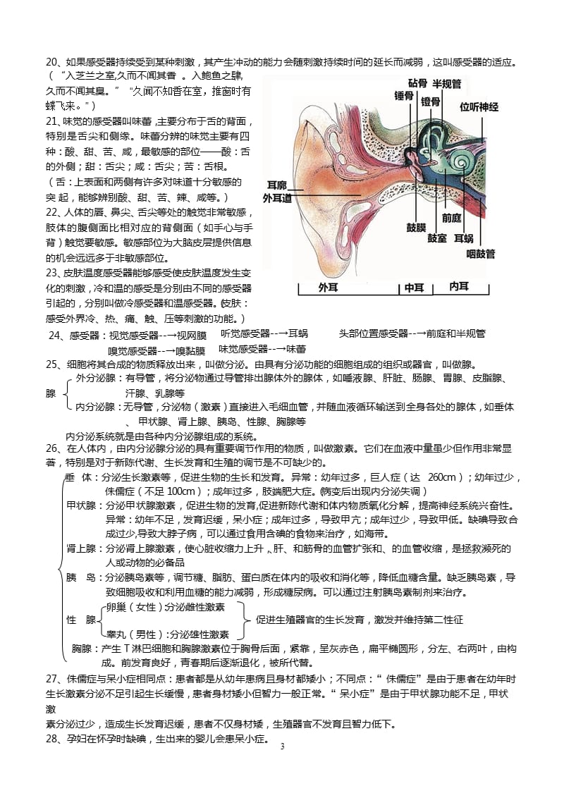 北师大版七年级生物下册第12章知识要点(经过本人重新整理)（2020年整理）.pptx_第3页