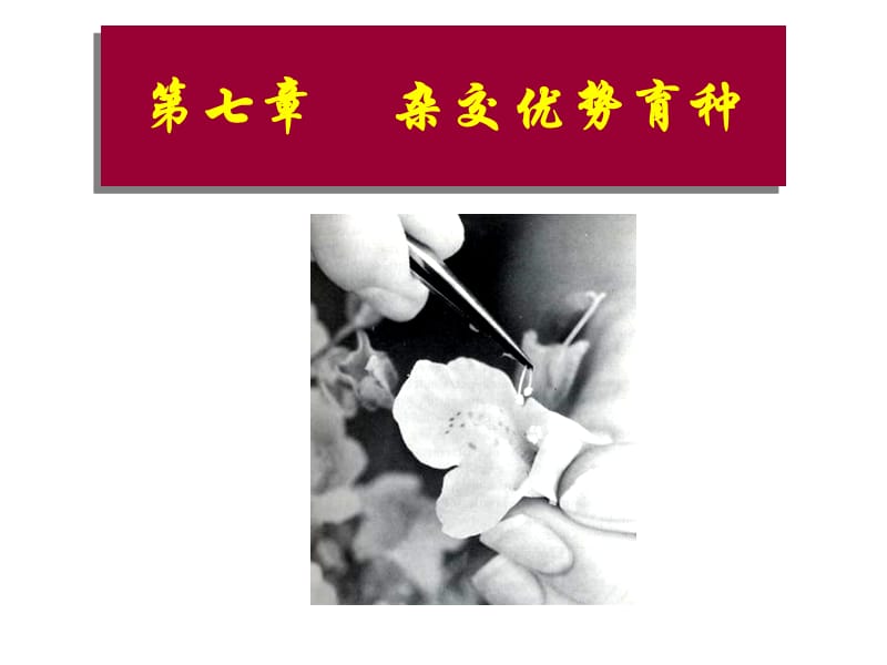 园林植物花卉育种学课件第7章 杂种优势的利用幻灯片课件_第1页