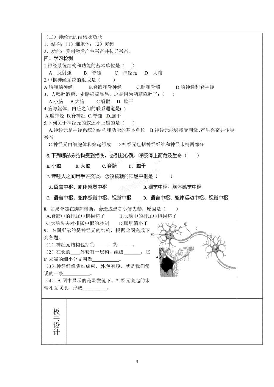 （2020年整理）鲁科版五四学制七年级下册生物备课 全册.doc_第5页