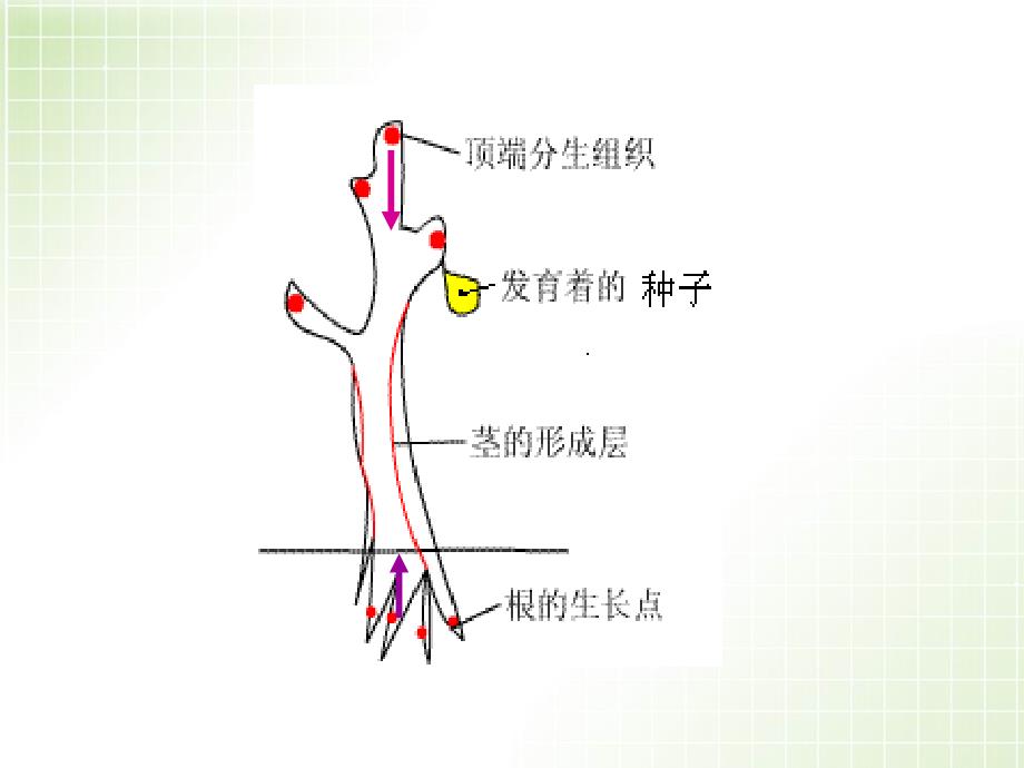 大田中学於金芳上课讲义_第3页