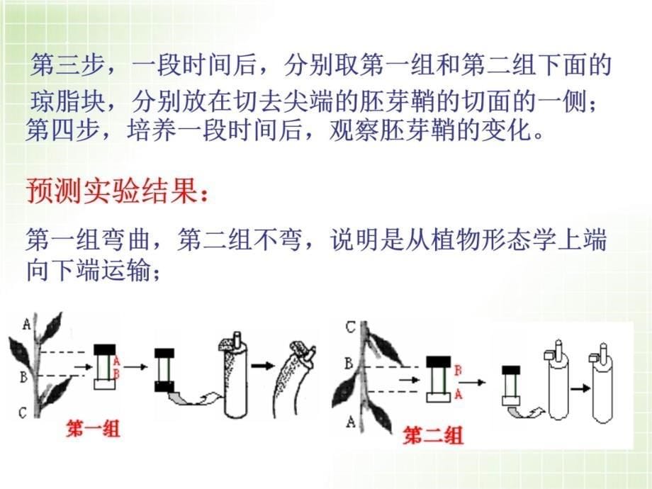 大田中学於金芳上课讲义_第5页