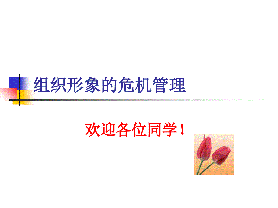 组织形象的危机管理演示教学_第1页