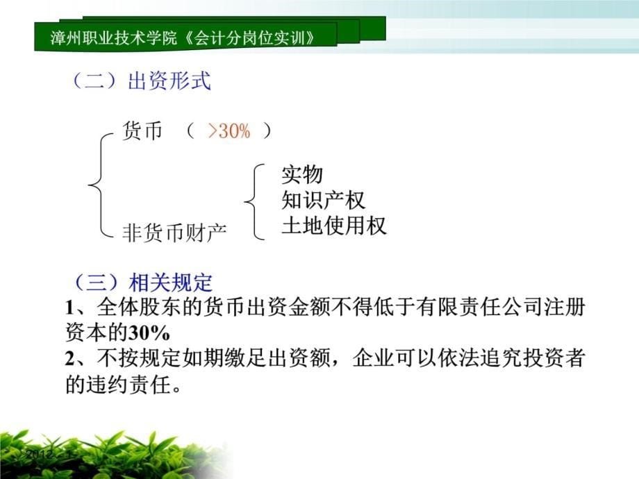 资本金会计岗位电子教案_第5页