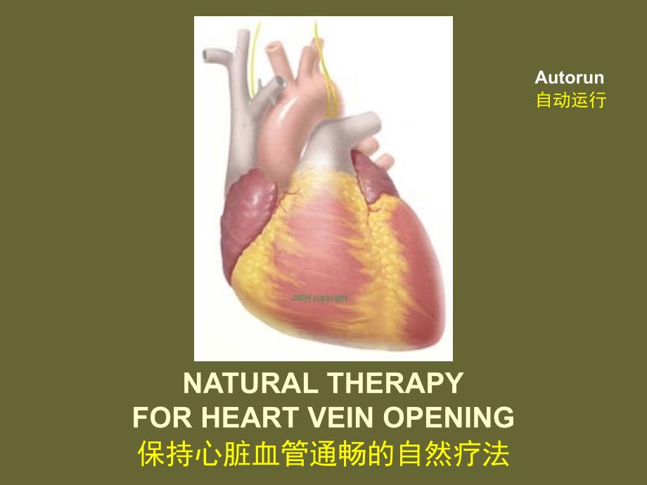 保持心脏血管通畅的自然疗法说课讲解_第1页
