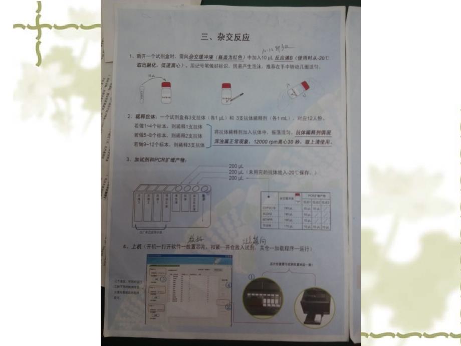 ALDH2基因的测定资料_第4页