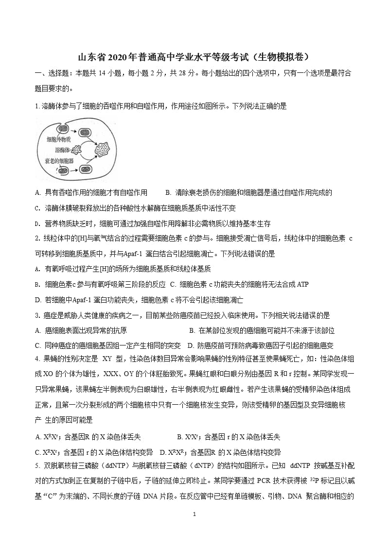 山东省普通高中学业水平等级考试模拟卷生物试题（2020年整理）.pptx_第1页