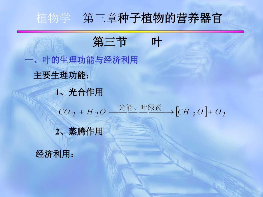 植物学第三章种子植物的营养器官教学讲义_第1页