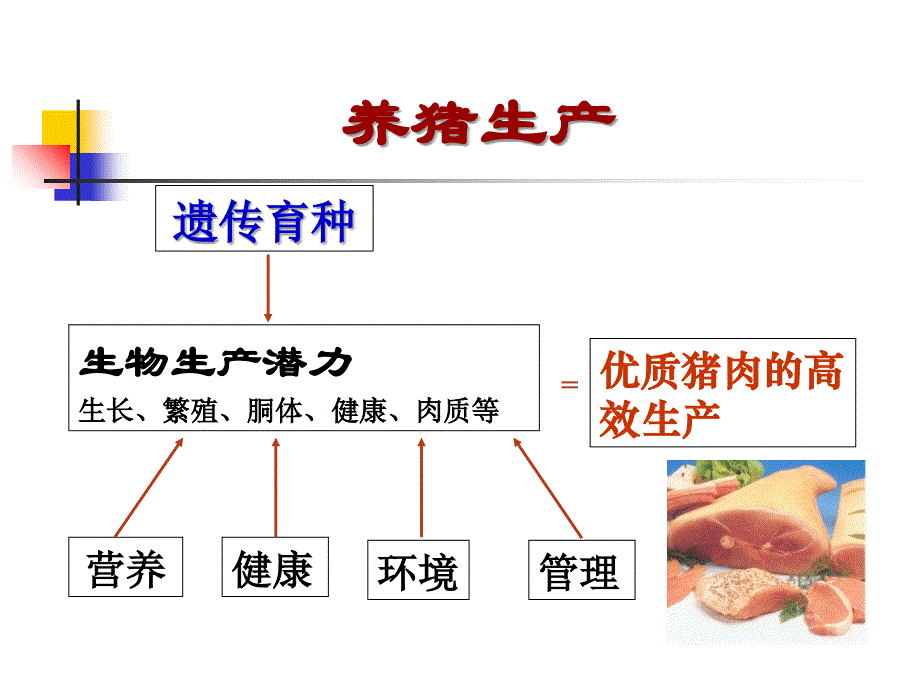 猪育种与人工授精教学讲义_第2页