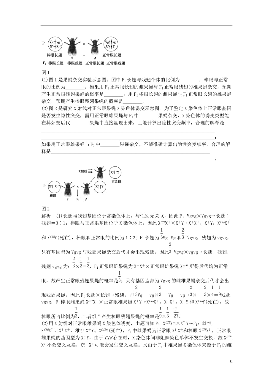 高考生物一轮复习第五单元遗传的基本规律第16讲基因在染色体上、伴性遗传演练真题领悟考向_第3页