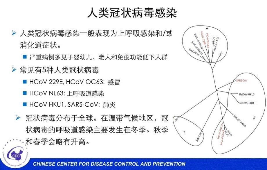 中东呼吸综合征MERS疫情及应对教学讲义_第5页